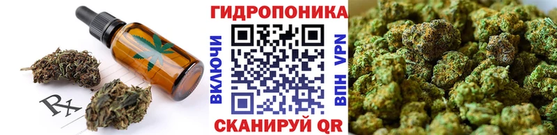 закладка  Котово  площадка телеграм  Печенье с ТГК марихуана 